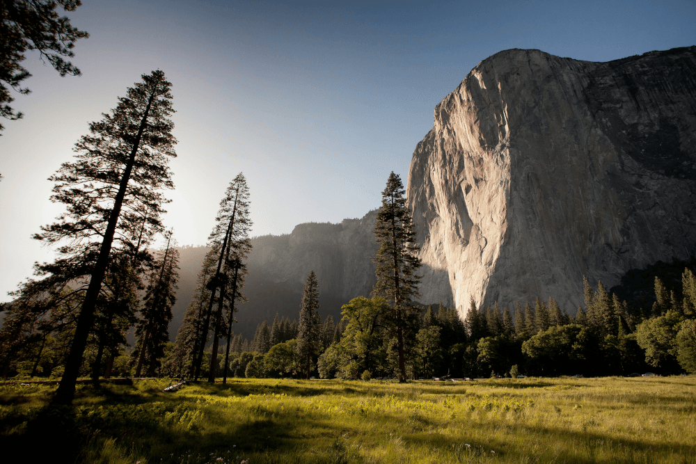 Large Mountains Healing