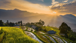 fields-at-sunset Living with Complex PTSD